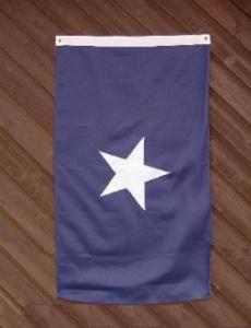 store/p/CONFEDERATE_BONNIE_BLUE_FLAG_SEWN_12_X18_