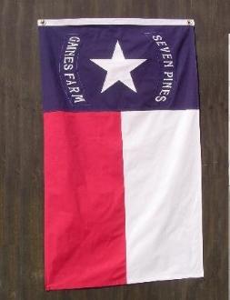 CONFEDERATE HOOD'S BRIGADE FLAG 3X5