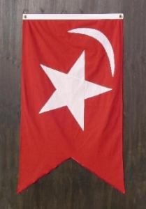 store/p/SOUTH_CAROLINA_SECESSION_FLAG_3X5