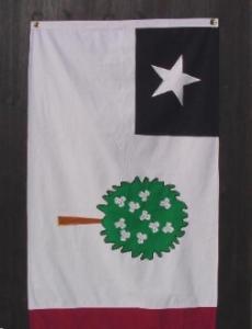 store/p/MISSISSIPPI_REPUBLIC_MAGNOLIA_FLAG_3X5