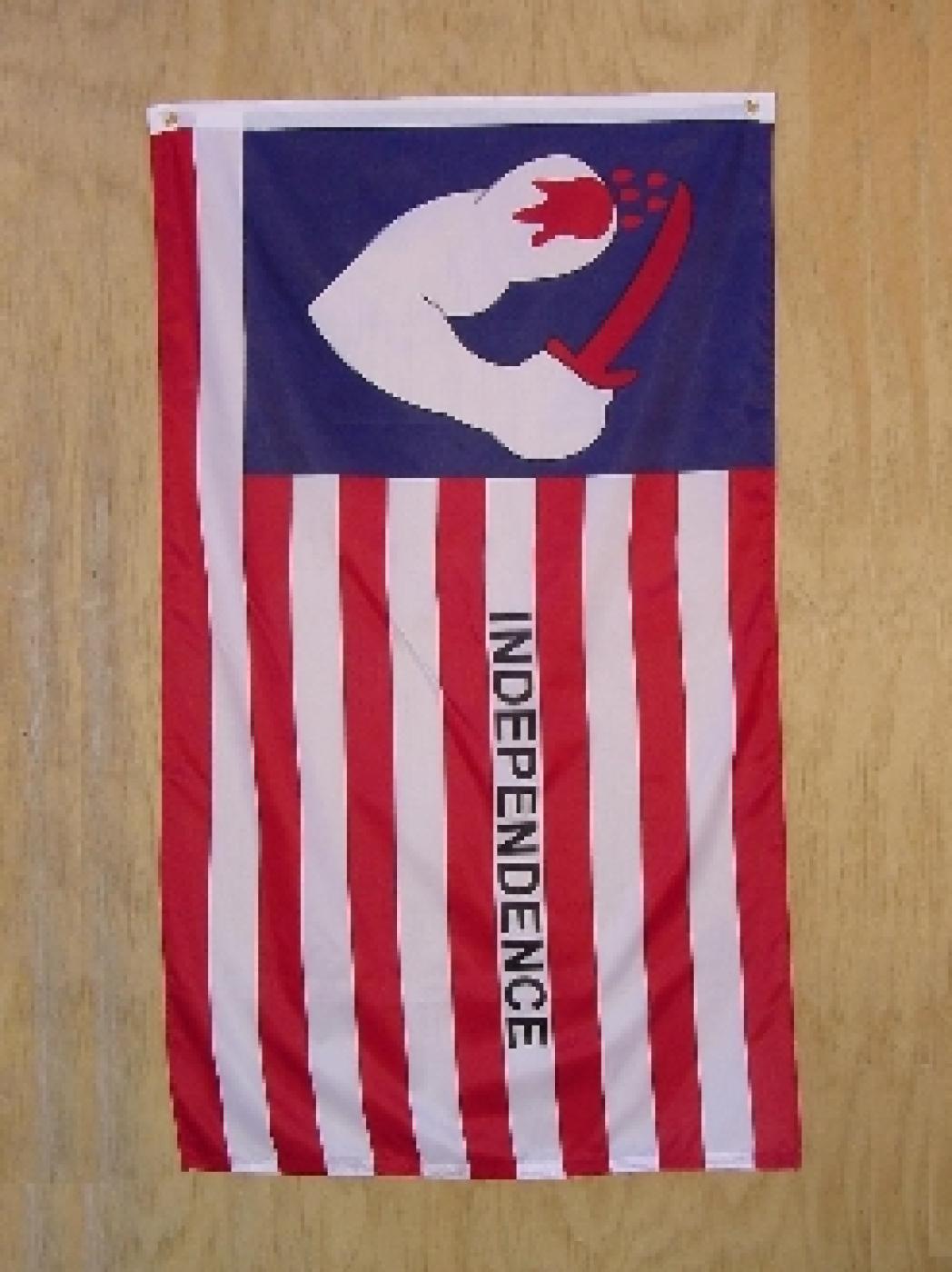 BROWN'S FLAG OF INDEPENDENCE 1835 3X5 PRINTED